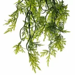 Best reviews of ???? Green Hanging Fern Bush by Ashland® ???? -Ashland Sales 10626844 20