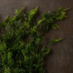 Best reviews of ???? Green Hanging Fern Bush by Ashland® ???? -Ashland Sales 10626844 25