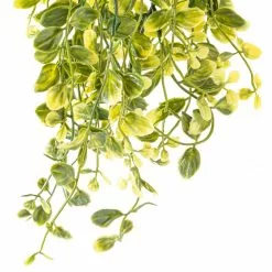 Flash Sale ???? 6 Pack: Green Hanging Smilax Bush by Ashland® ✨ -Ashland Sales 10626846 20 1