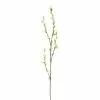 Best Sale ???? 12 Pack: Green Willow Stem by Ashland® ???? -Ashland Sales 10626847 1