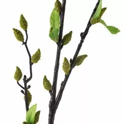 Top 10 ???? Green Willow Stem by Ashland® ⭐ -Ashland Sales 10626847 20