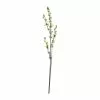 Top 10 ???? Green Willow Stem by Ashland® ⭐ -Ashland Sales 10626847 21