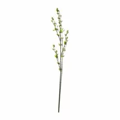 Top 10 ???? Green Willow Stem by Ashland® ⭐