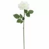 Deals ???? 6 Pack: White Rose Stem by Ashland® ???? 2 Deals ???? 6 Pack: White Rose Stem by Ashland® ???? -Ashland Sales 10626862 1