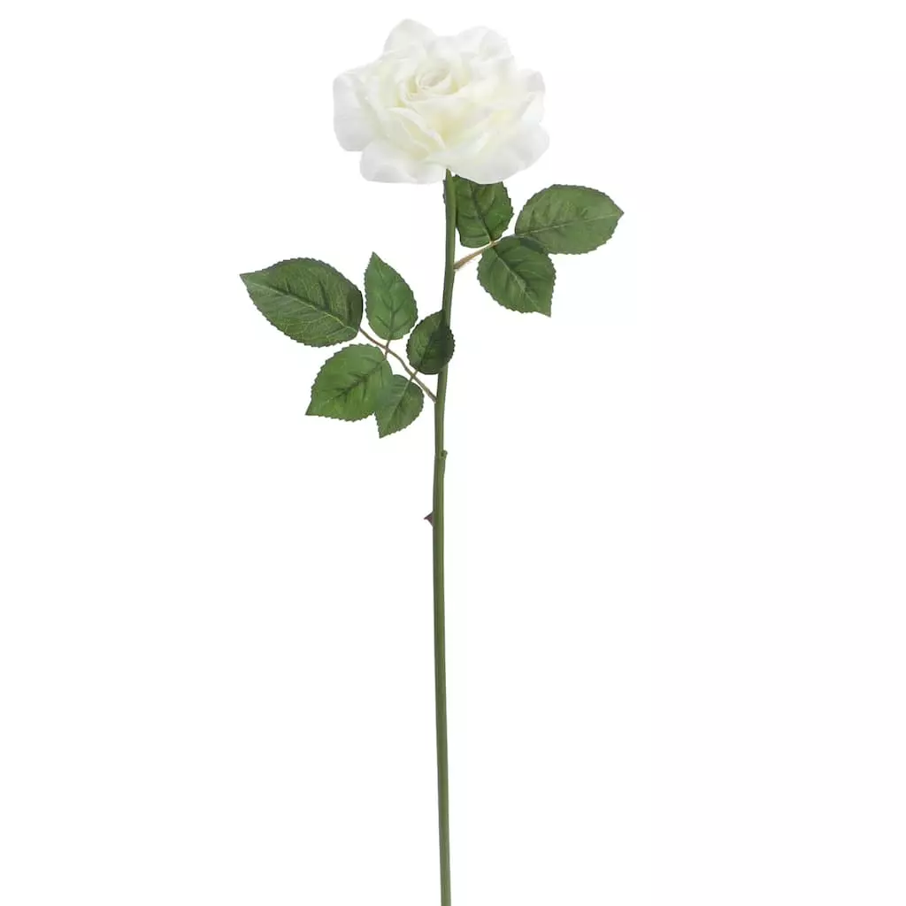 Deals ???? 6 Pack: White Rose Stem by Ashland® ???? 3 Deals ???? 6 Pack: White Rose Stem by Ashland® ????