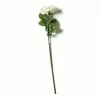 Coupon ???? White Rose Stem by Ashland® ⌛ -Ashland Sales 10626862 21