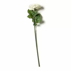 Coupon ???? White Rose Stem by Ashland® ⌛