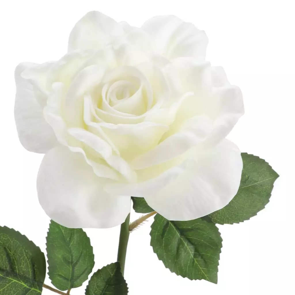 Deals ???? 6 Pack: White Rose Stem by Ashland® ???? 4 Deals ???? 6 Pack: White Rose Stem by Ashland® ???? - Image 2