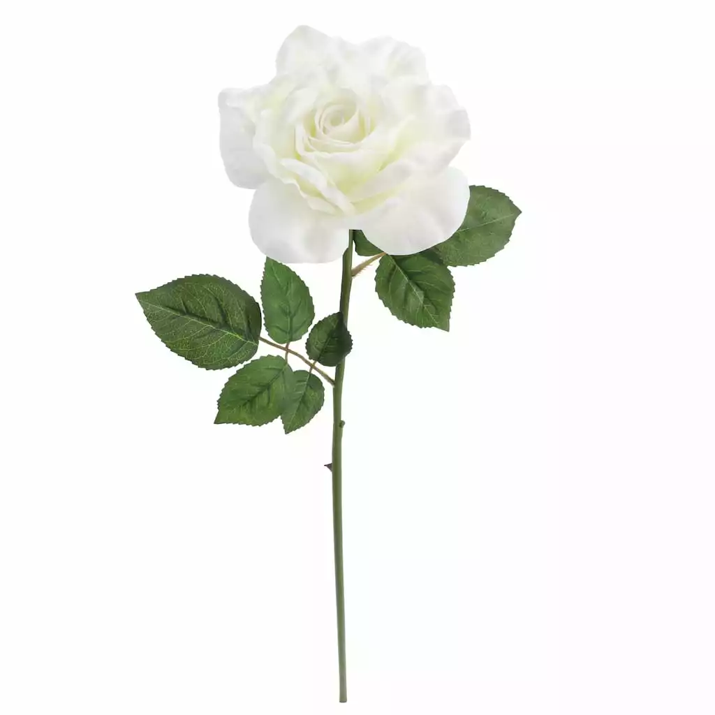 Deals ???? 6 Pack: White Rose Stem by Ashland® ???? 5 Deals ???? 6 Pack: White Rose Stem by Ashland® ???? - Image 3