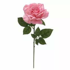 Discount ???? 6 Pack: Blush Rose Stem by Ashland® ???? -Ashland Sales 10626864 4