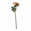 Budget ???? Coral Rose Stem by Ashland® ???? 1 Budget ???? Coral Rose Stem by Ashland® ???? -Ashland Sales 10626866 21