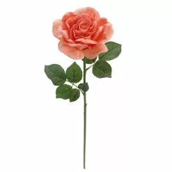 Top 10 ???? 6 Pack: Coral Rose Stem by Ashland® ⌛ -Ashland Sales 10626866 4