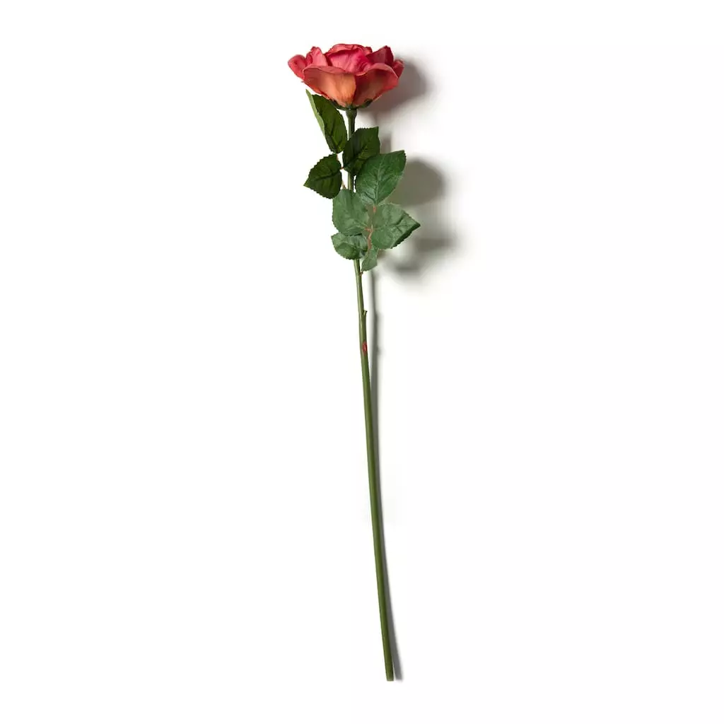 Deals ???? Fuchsia Rose Stem by Ashland® ⌛ 3 Deals ???? Fuchsia Rose Stem by Ashland® ⌛