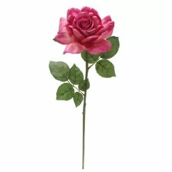 Best Sale ⌛ 6 Pack: Fuchsia Rose Stem by Ashland® ⌛ -Ashland Sales 10626870 4