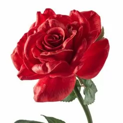 Top 10 ❤️ Red Rose Stem by Ashland® ✨ -Ashland Sales 10626872 20