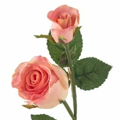 Deals ???? Pink Rose Stem by Ashland® ???? -Ashland Sales 10626874 20