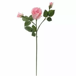 Best reviews of ⌛ 6 Pack: Blush Rose Spray by Ashland® ????