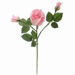 Best reviews of ⌛ 6 Pack: Blush Rose Spray by Ashland® ???? -Ashland Sales 10626876 4