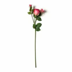 Coupon ???? Fuchsia Rose Stem by Ashland® ????