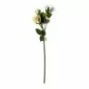 Buy ???? White Rose Stem by Ashland® ???? 2 Buy ???? White Rose Stem by Ashland® ???? -Ashland Sales 10626882 21