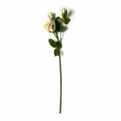 Buy ???? White Rose Stem by Ashland® ????