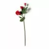 Best reviews of ???? Red Rose Stem by Ashland® ✨ -Ashland Sales 10626884 21