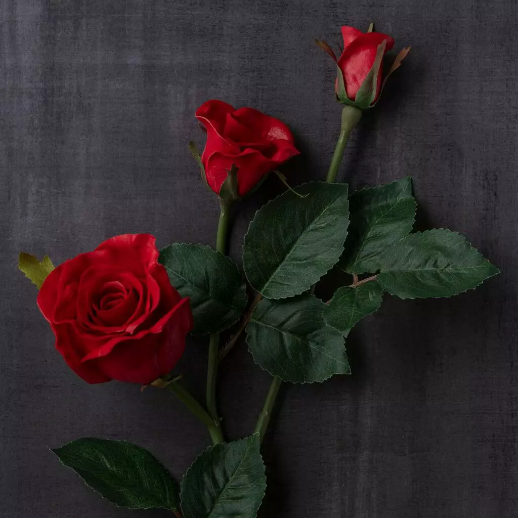 Best reviews of ???? Red Rose Stem by Ashland® ✨ 4 Best reviews of ???? Red Rose Stem by Ashland® ✨ - Image 2