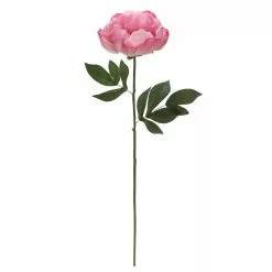 Best Sale ⭐ 6 Pack: Pink Peony Stem by Ashland® ????