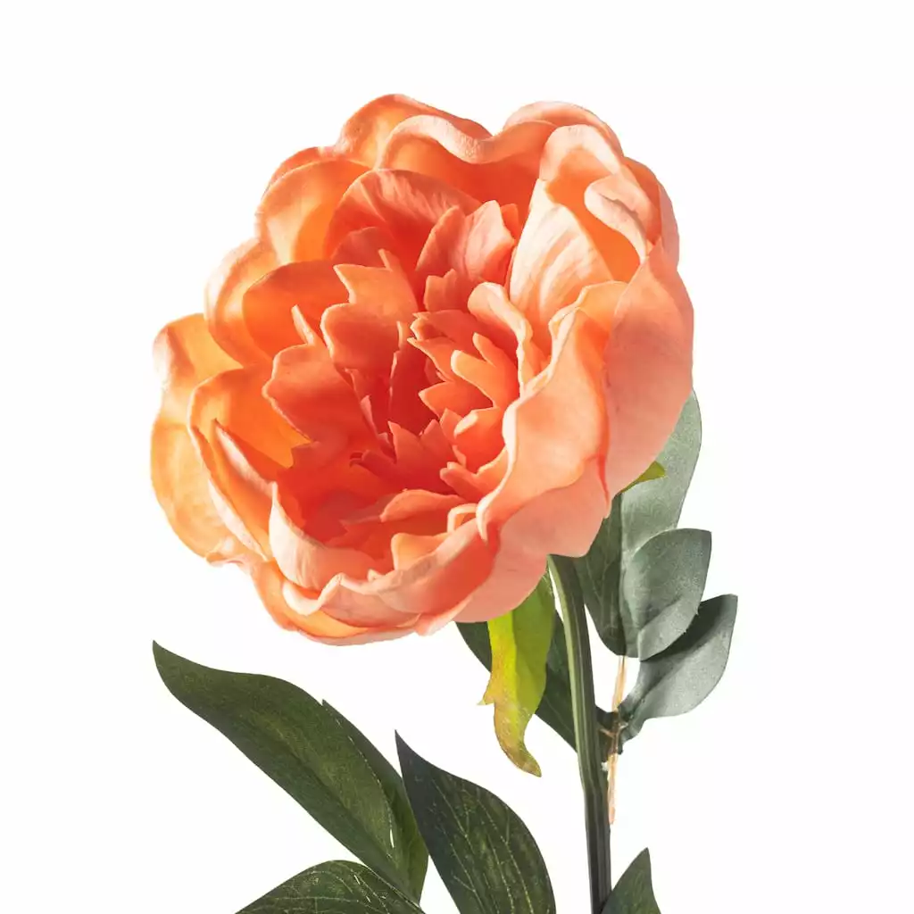 Best deal ✔️ Coral Large Peony Stem by Ashland® ???? 5 Best deal ✔️ Coral Large Peony Stem by Ashland® ???? - Image 3