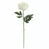 Promo ???? White Peony Stem by Ashland® ???? 1 Promo ???? White Peony Stem by Ashland® ???? -Ashland Sales 10626894 1