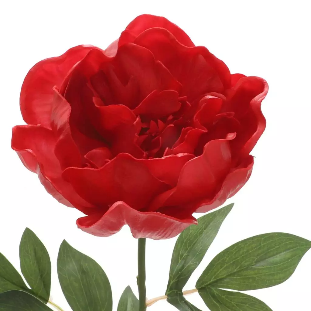 Top 10 ???? 6 Pack: Red Peony Stem by Ashland® ???? 4 Top 10 ???? 6 Pack: Red Peony Stem by Ashland® ???? - Image 2
