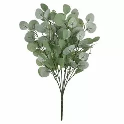 Best deal ⌛ Eucalyptus Bush by Ashland® ????