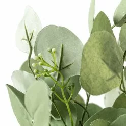 Best deal ⌛ Eucalyptus Bush by Ashland® ???? -Ashland Sales 10626920 20