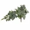 Promo ???? 6 Pack: Green Hanging Fittonia Bush by Ashland® ????