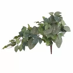 Promo ???? 6 Pack: Green Hanging Fittonia Bush by Ashland® ????