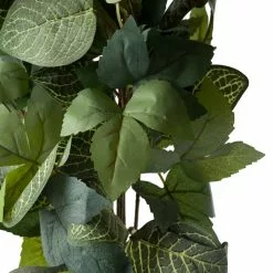 Promo ???? 6 Pack: Green Hanging Fittonia Bush by Ashland® ???? -Ashland Sales 10626924 20 1