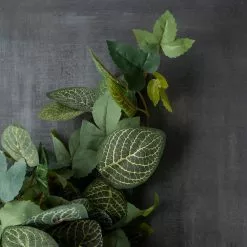 Promo ???? 6 Pack: Green Hanging Fittonia Bush by Ashland® ???? -Ashland Sales 10626924 25 1