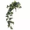 Discount ???? Hanging Pothos Bush by Ashland® ???? -Ashland Sales 10626927 1