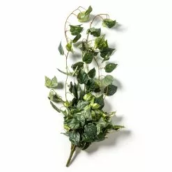 Best Pirce ???? 6 Pack: Hanging Pothos Bush by Ashland® ✔️ -Ashland Sales 10626927 21 1