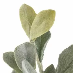 Cheapest ⌛ 6 Pack: Lamb's Ear Bush by Ashland® ???? 7 Cheapest ⌛ 6 Pack: Lamb's Ear Bush by Ashland® ???? -Ashland Sales 10626928 20 1