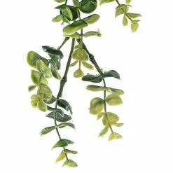 Coupon ???? 6 Pack: Green Hanging Eucalyptus Bush by Ashland® ⌛ -Ashland Sales 10626930 20