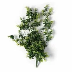 Coupon ???? 6 Pack: Green Hanging Eucalyptus Bush by Ashland® ⌛
