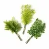 Top 10 ???? 12 Pack: Assorted Green Fern Bundle by Ashland® ???? 1 Top 10 ???? 12 Pack: Assorted Green Fern Bundle by Ashland® ???? -Ashland Sales 10626932 21 1