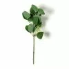 New ???? 12 Pack: Assorted Green Eucalyptus & Berry Pick by Ashland® ???? 1 New ???? 12 Pack: Assorted Green Eucalyptus & Berry Pick by Ashland® ???? -Ashland Sales 10626934 21