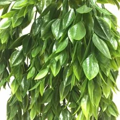 Best Sale ???? Hanging Ruscus Bush by Ashland® ???? -Ashland Sales 10626982 2
