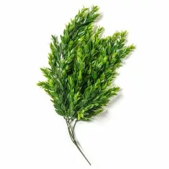 Best Sale ???? Hanging Ruscus Bush by Ashland® ???? -Ashland Sales 10626982 21