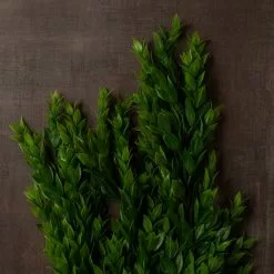 Best Sale ???? Hanging Ruscus Bush by Ashland® ???? -Ashland Sales 10626982 25