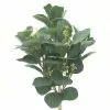 Outlet ???? Silver Dollar & Lamb's Ear Bush by Ashland® ???? -Ashland Sales 10626983
