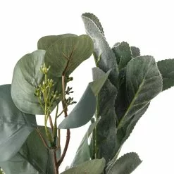 Outlet ???? Silver Dollar & Lamb's Ear Bush by Ashland® ???? -Ashland Sales 10626983 20