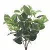Coupon ???? 6 Pack: Green Pothos Bush by Ashland® ???? -Ashland Sales 10626988 1 1